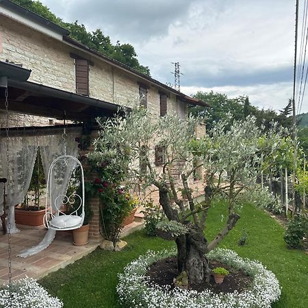 B&B Il Poggetto Serra SantʼAbbondio Eksteriør bilde