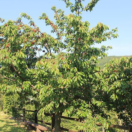 B&B Il Poggetto Serra SantʼAbbondio Eksteriør bilde