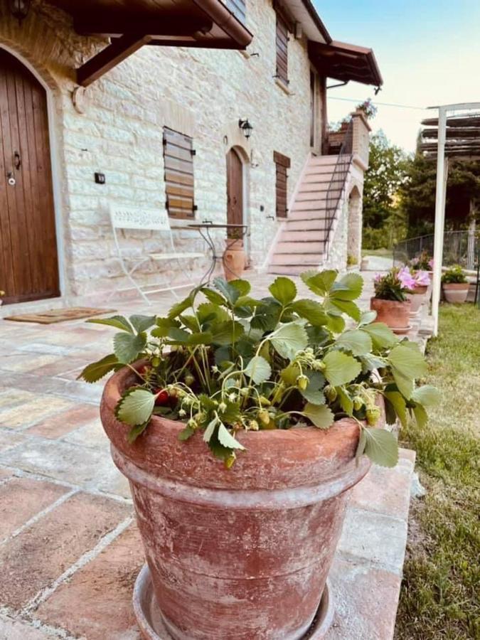 B&B Il Poggetto Serra SantʼAbbondio Eksteriør bilde