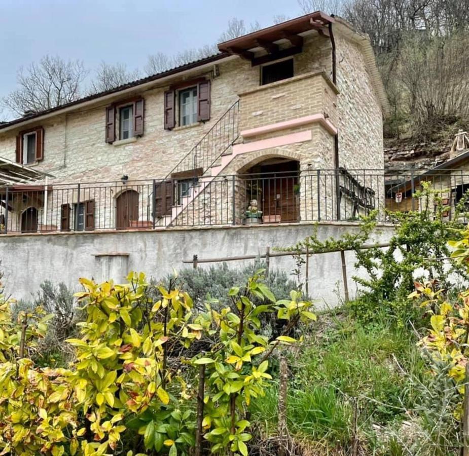B&B Il Poggetto Serra SantʼAbbondio Eksteriør bilde