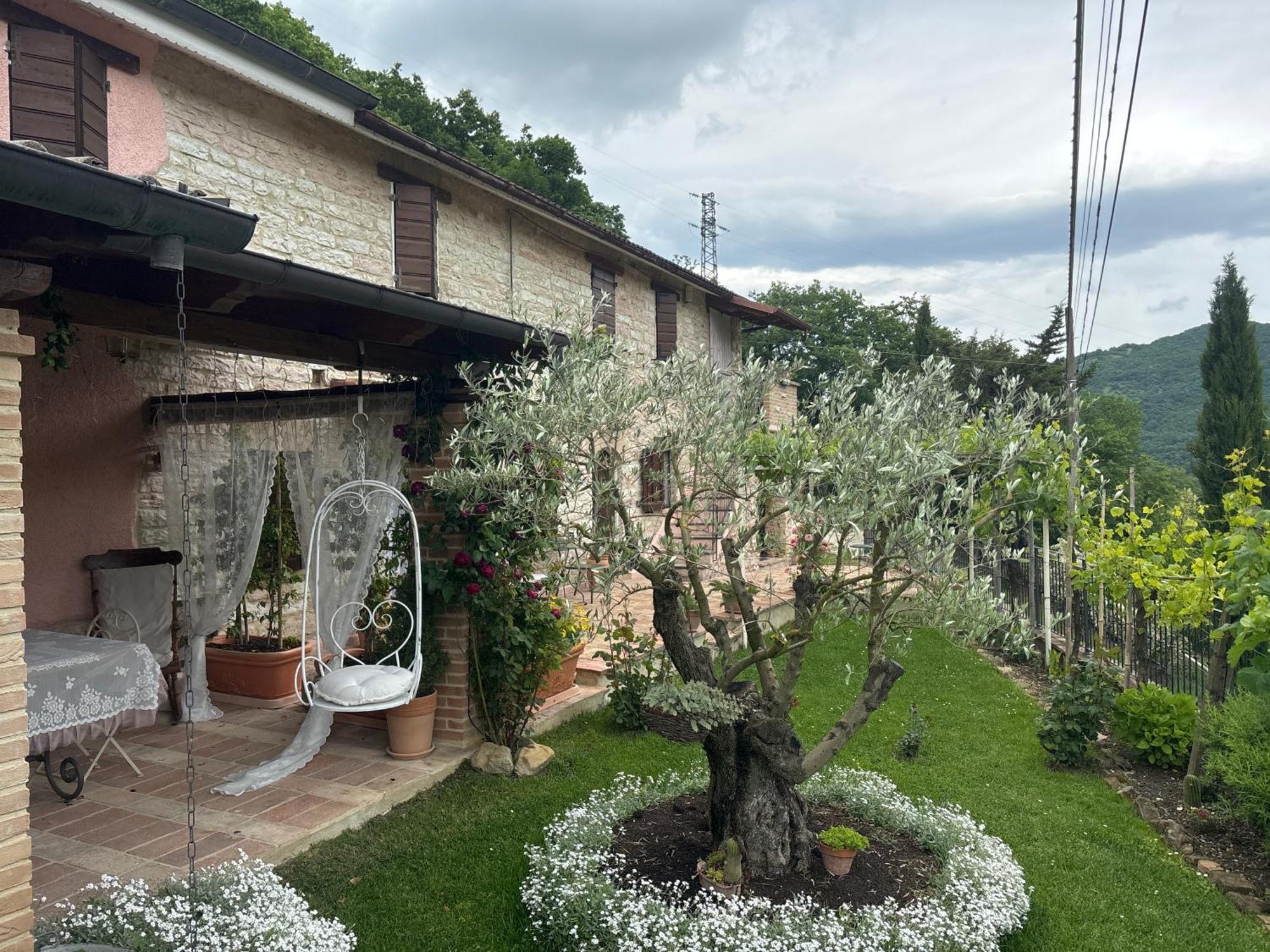 B&B Il Poggetto Serra SantʼAbbondio Eksteriør bilde