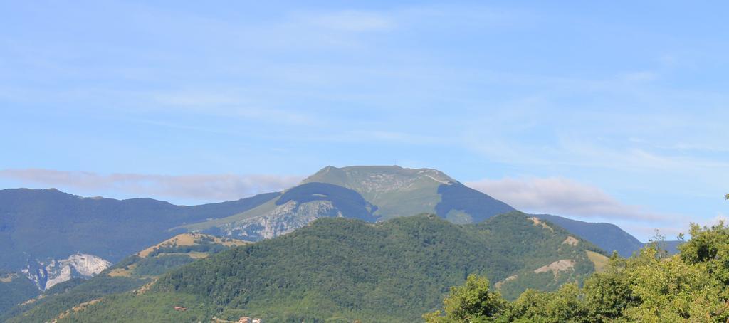 B&B Il Poggetto Serra SantʼAbbondio Eksteriør bilde