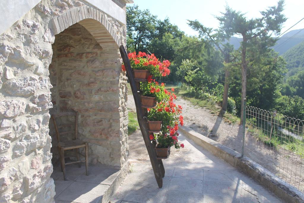 B&B Il Poggetto Serra SantʼAbbondio Eksteriør bilde