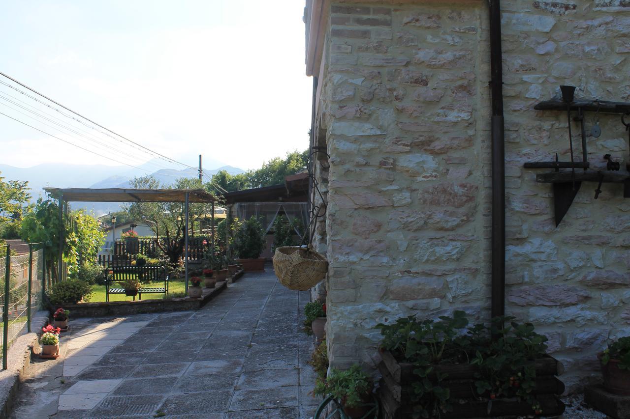 B&B Il Poggetto Serra SantʼAbbondio Eksteriør bilde